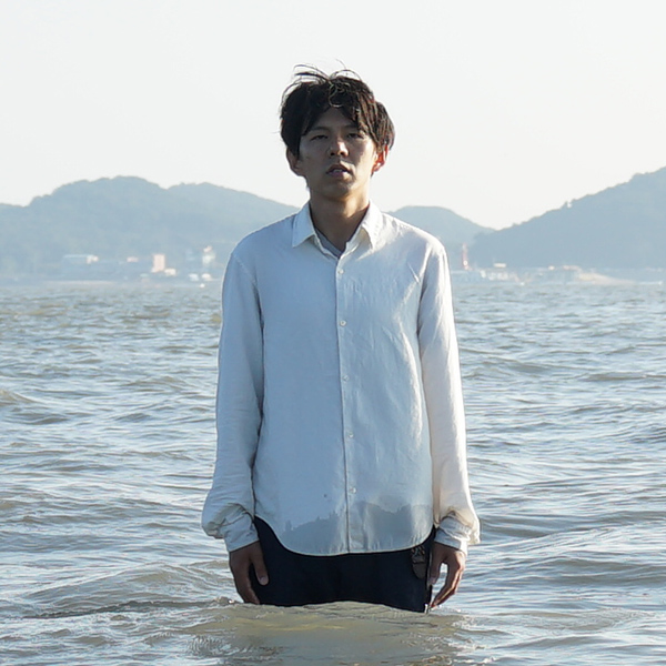 Yukawa-Nakayasu